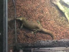 -昆明动物园