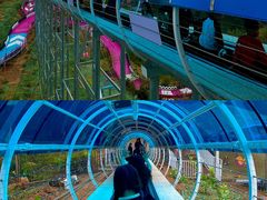 -盈香心动乐园