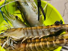 -海天盛宴海鲜自助(正大广场店)