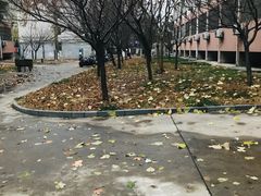 -山东大学(千佛山校区)