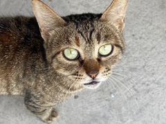 -水岸居湖景农家乐·阳澄湖大闸蟹