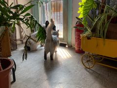 -小时光咖啡馆(北锣鼓巷店)