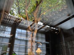 -民国红公馆(老门东店)