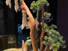 -蟹犇前•帝王蟹雪蟹(陆家嘴店)
