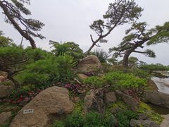 -罗红摄影艺术馆