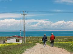 -青海湖国家重点风景名胜区