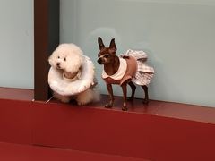 -和它·交个朋友·狗咖猫咖(爱琴海店)