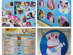 -lincat·猫舍(广州店)