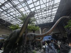 -国家自然博物馆