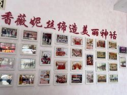 -香薇妮丝·定制减肥·身材管理