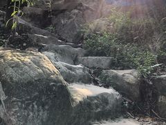 -南山植物园