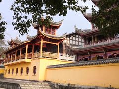 -南山植物园