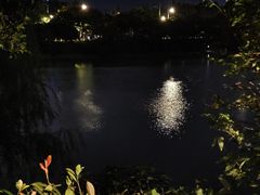 -羊山湖公园