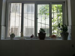 -瑞派宠物医院·内科·软组织·绝育中心(沈阳八纬路分院)