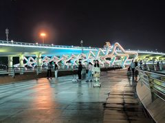 -演武大桥观景平台