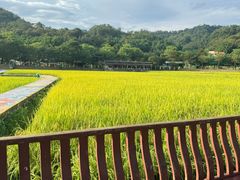 -红山村