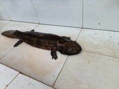 -昆明动物园