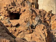 -昆明动物园