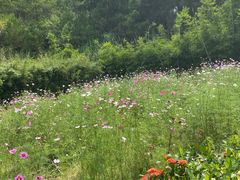 -神光山国家森林公园