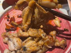 -九鼎轩脆毛肚火锅(三钢里店)