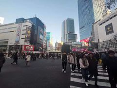 -涩谷区