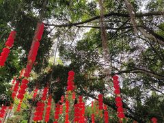 -晓港公园
