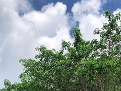 -珠海长隆海洋王国