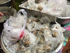 -金盆阿嬷香菇茶叶蛋(玄光店)