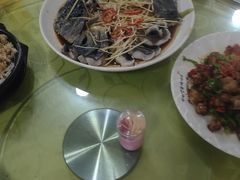 -煲来饱去冷水鱼