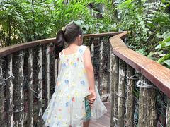 -正佳雨林生态植物园