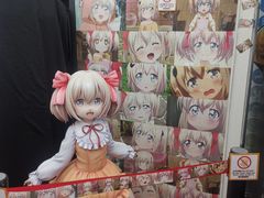 -秋叶原电器街