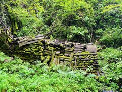 -凤凰山国家森林公园