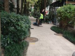 -蚂蚁搬家成都打包搬运公司