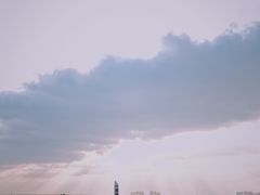 -东郊椰林
