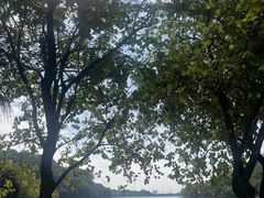 -南国桃园旅游度假区