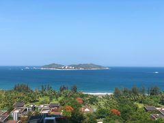-瑰丽酒店·海吧·天际下午茶·现场DJ·天台酒吧