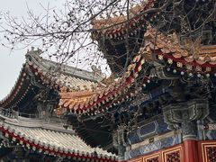 -北京艺术博物馆(万寿寺)