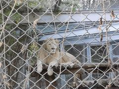 -合肥野生动物园