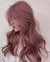 -环球蝶上美业连锁