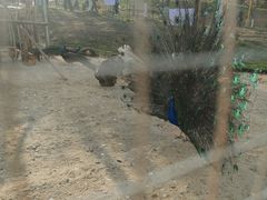 -红山体育度假乐园