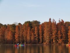 -上海海湾国家森林公园