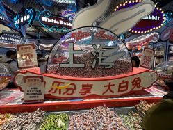 -乐高品牌旗舰店(人民广场店)