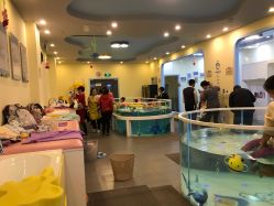 -沫奇婴幼儿水育馆(青山湖万达店)