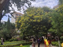 -金城公园