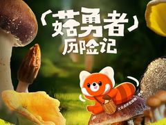 -桑干河大峡谷旅游区
