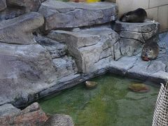 -灵玲国际马戏城