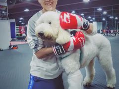 -FIGHTMAN格斗俱乐部(长宁临空店)