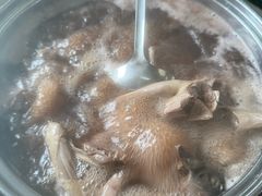 养生药膳鸽锅-大田塱鸽庄
