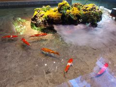 -张福记(陇海中路店)