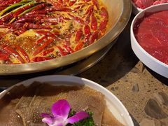 -小龙坎火锅(IFS HOT店)